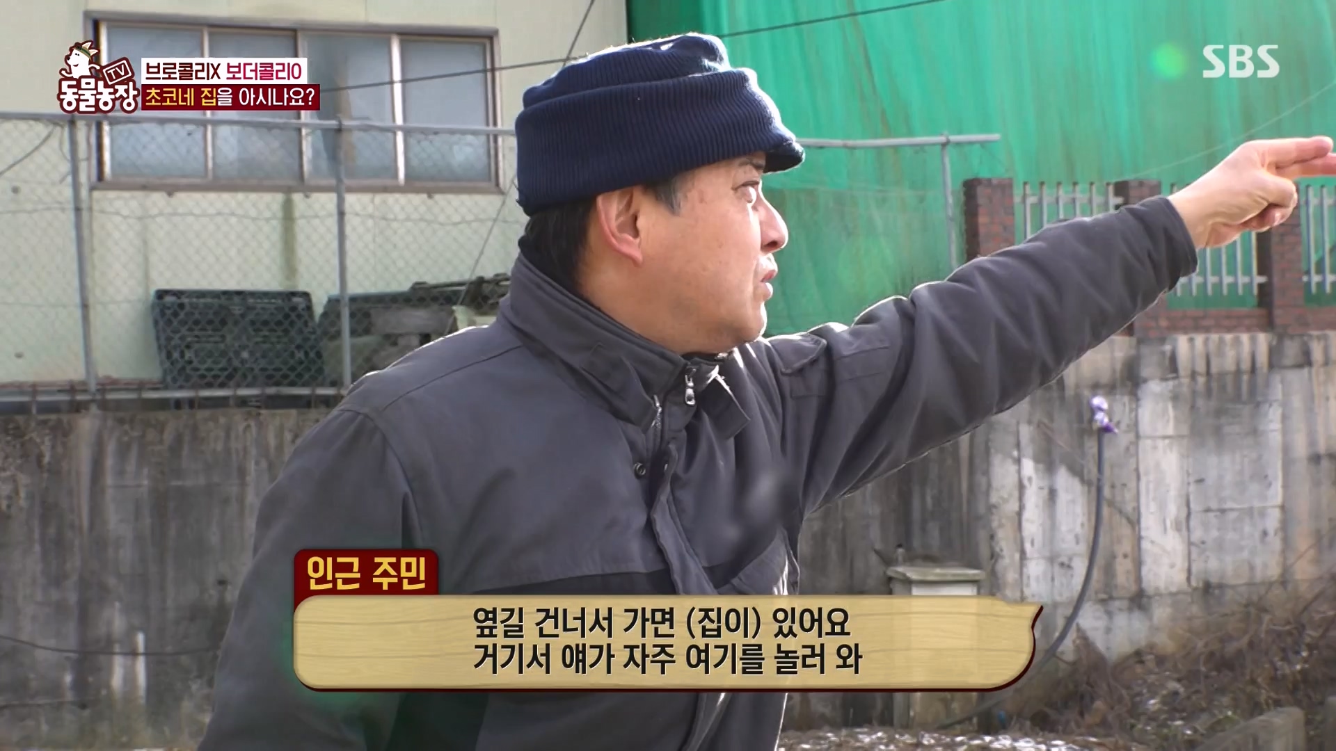 TV 동물농장.E1161.240303p-NEXT.mp4_20240303_172255.452.jpg