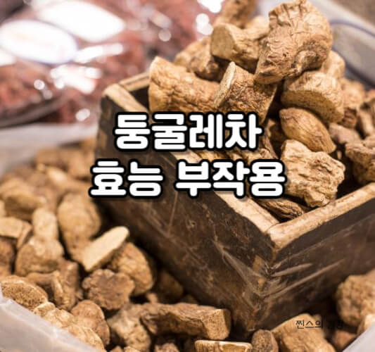 둥굴레차 효능 부작용