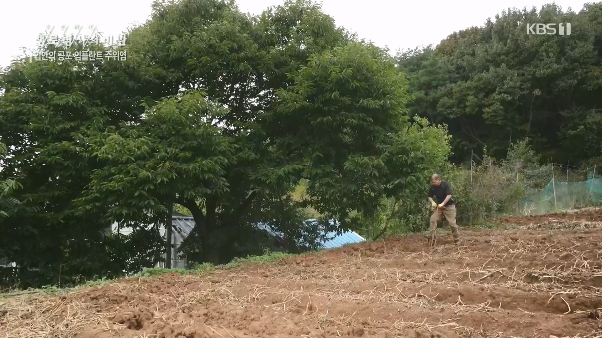 생로병사의 비밀.E890.231213p.H264-F1RST.mp4_20231214_201916.325.jpg