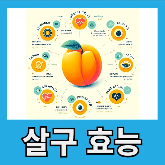 살구 효능