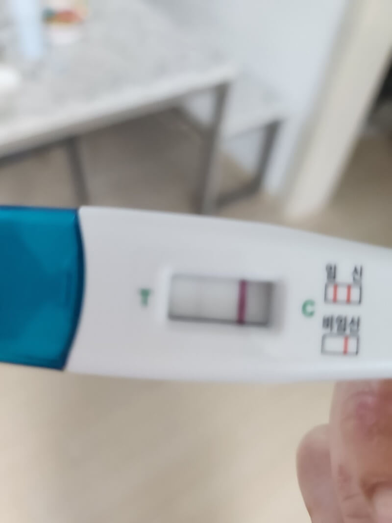 임신초기-얼리-테스트기-사진