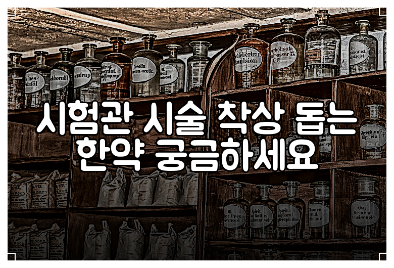 시험관 시술 착상 돕는 한약 궁금하세요