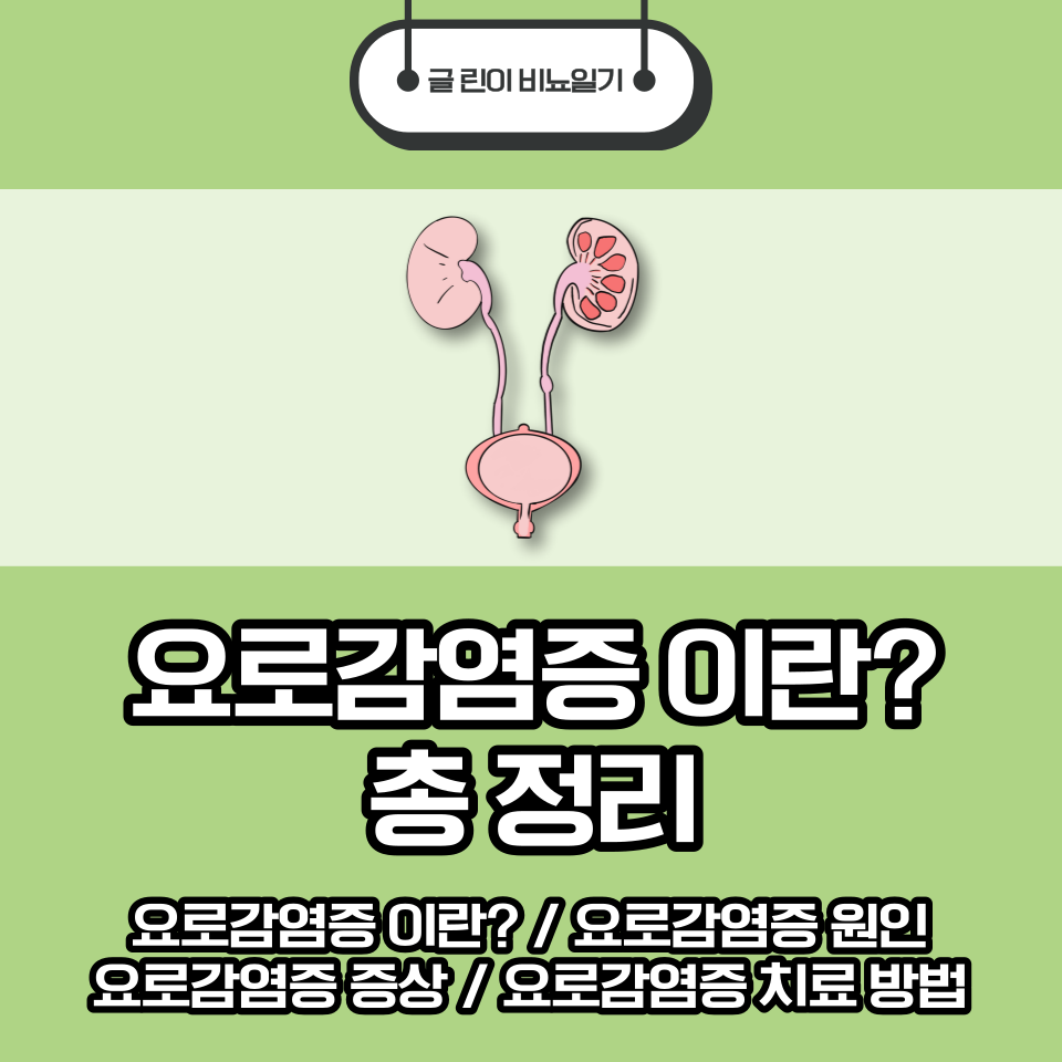  요로감염증 이란? 총 정리