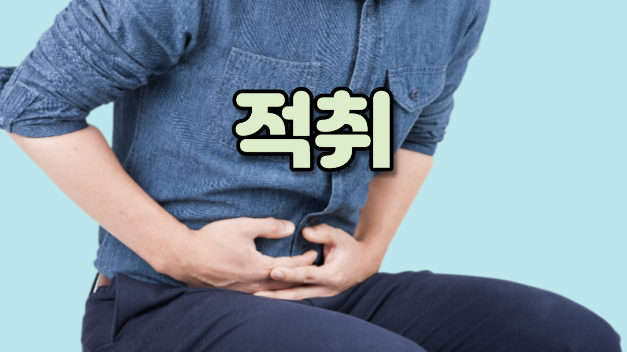  적취