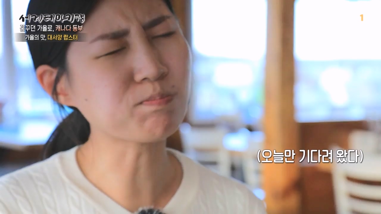 세상의모든기행꿈꾸던 가을로 캐나다 동부-우아, 가을의 맛.mp4_20231205_202920.255.jpg