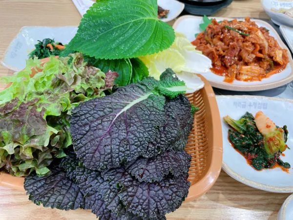 생생정보 음식점 위치