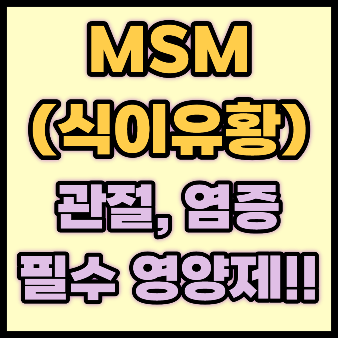 msm-효능-섭취량-알아보기