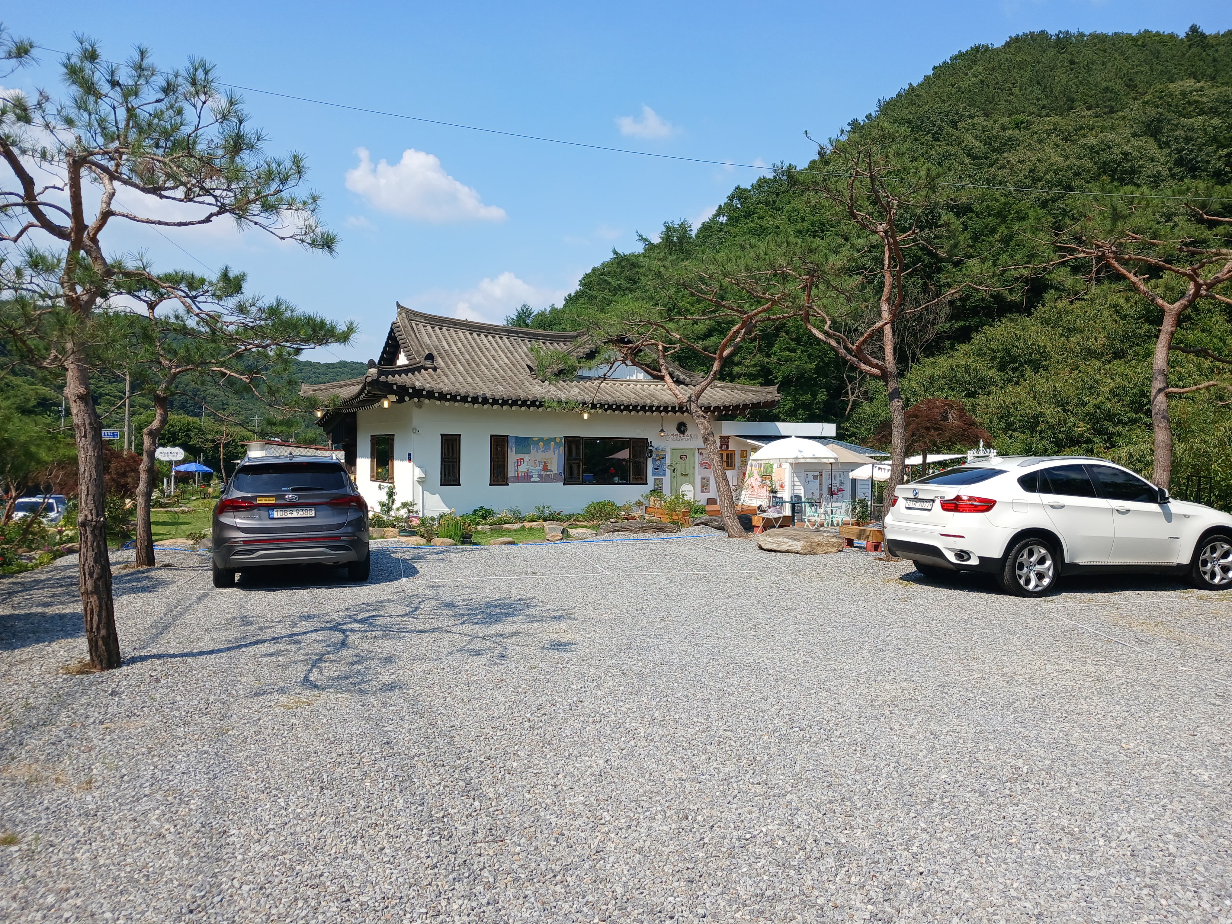 마마식당 이미지