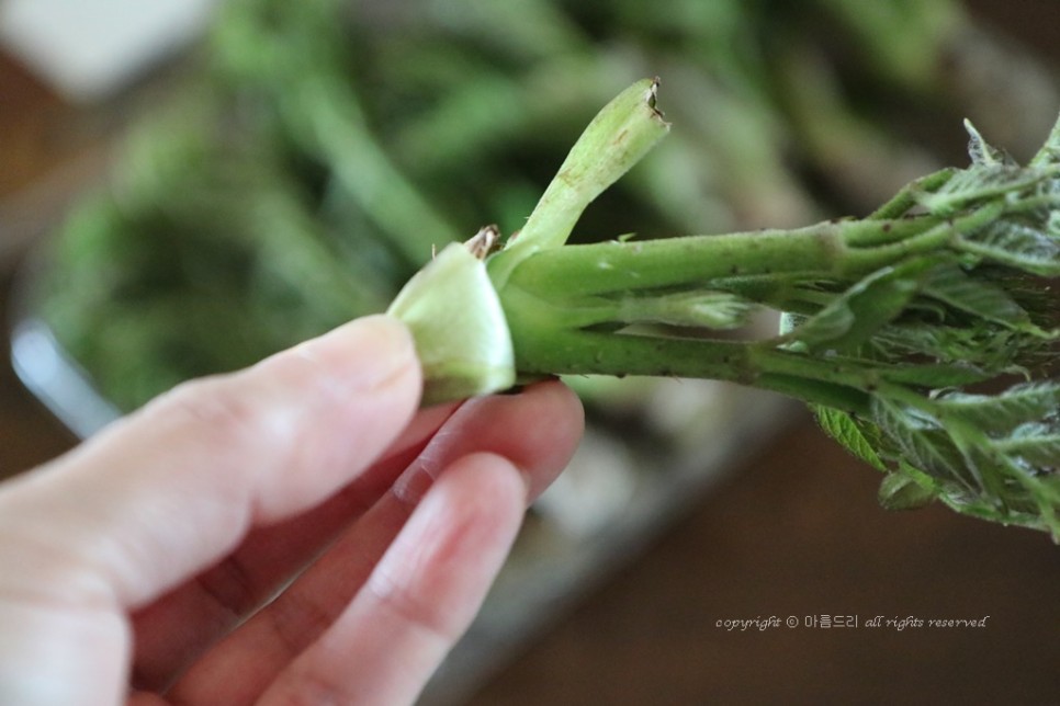 만들고 영양도 맛도 좋아요~ 오가피 요리!쇠고기 오가피꼬치 27