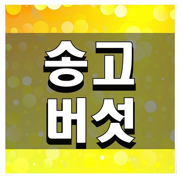 송고버섯 효능 각종 요리법 추천