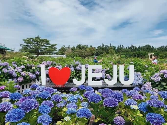 2025 전국 수국축제