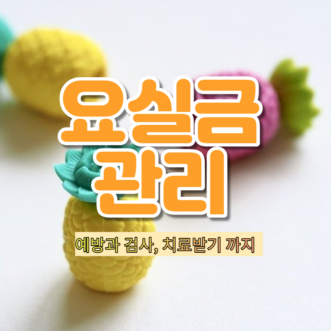  요실금 효과적 치료 방법 ( 9가지 예방법 과 합병증 /요실금 수술 )