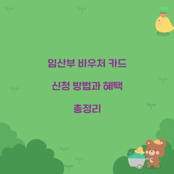 임산부 바우처 카드