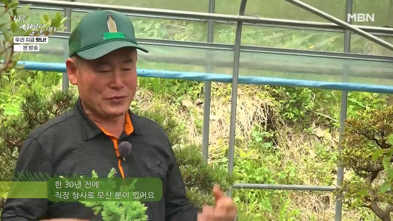 나는 자연인이다.E609.240613p-NEXT.mp4_20240613_195123.376.jpg