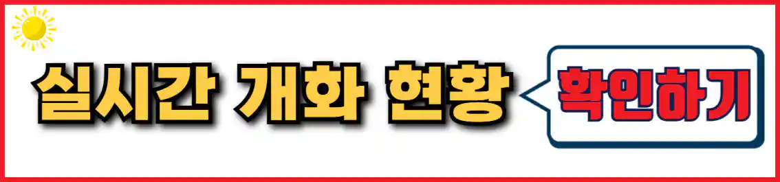 하동 벚꽃축제 실시간 개화 현황