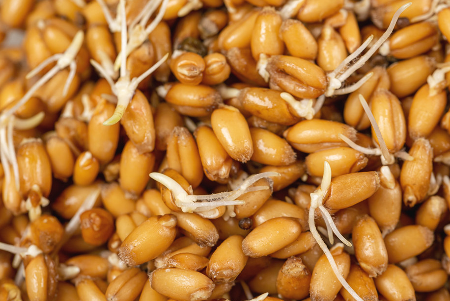 ヨガの練習は女性のオーガズムを促進します