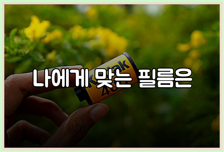 나에게 맞는 필름은