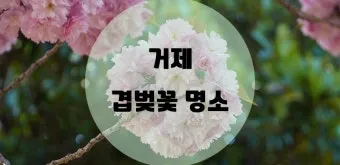 전국 겹벚꽃 명소 베스트 10 관광지_21
