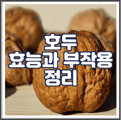  호두 효능과 부작용 정리