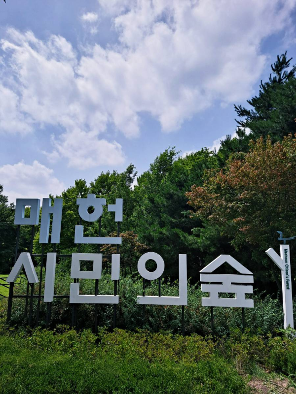 매헌시민의숲 초입