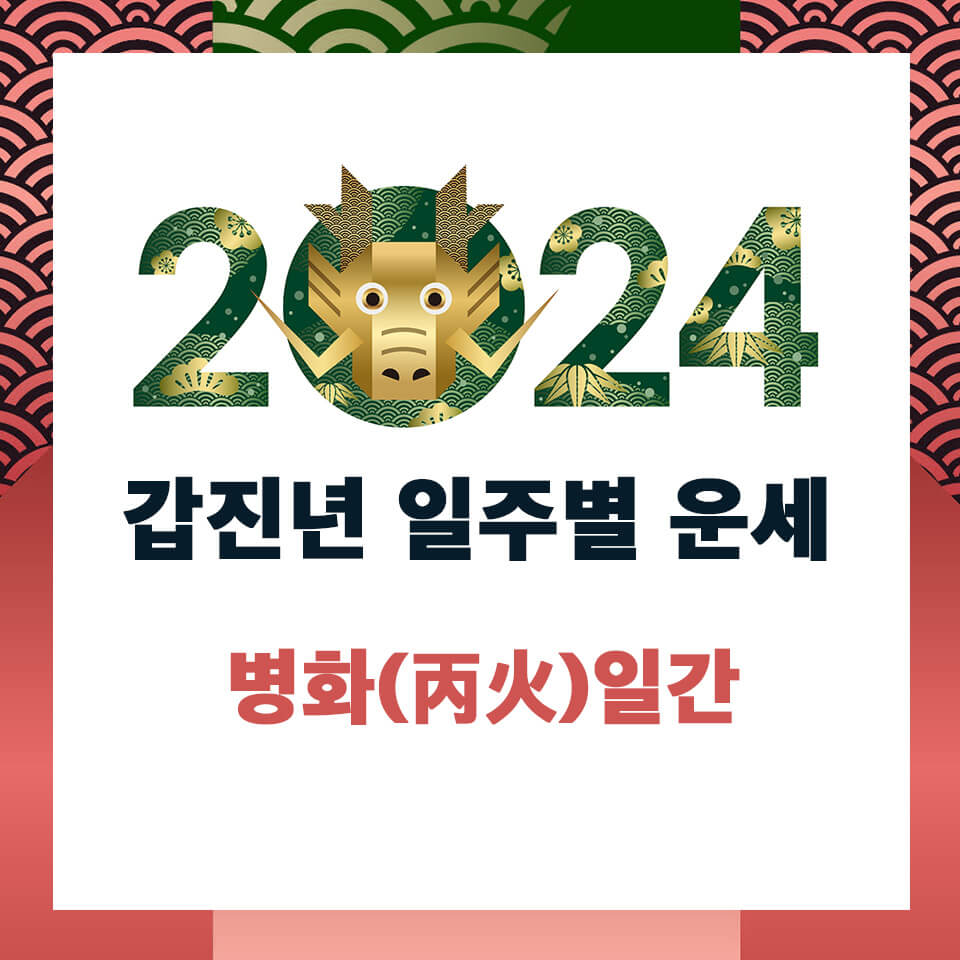 2024년 병화일간 운세