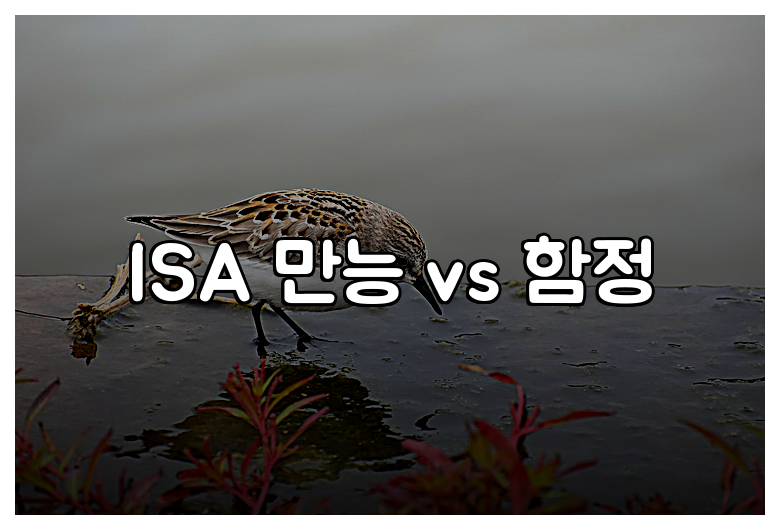 ISA 만능 vs 함정