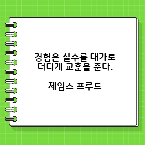 경험은 실수를 대가로 더디게 교훈을 준다. 제임스 프루드