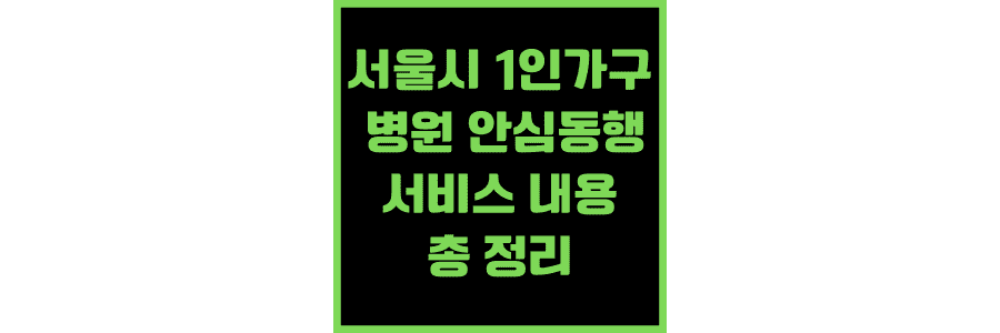 서울시-1인가구-병원-안심동행서비스-내용-총-정리