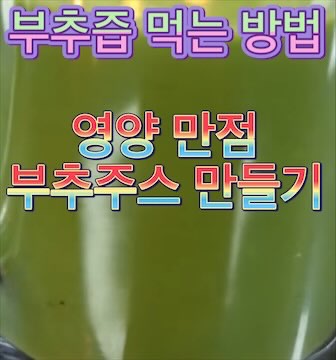 부추-주스-먹는법-만들기