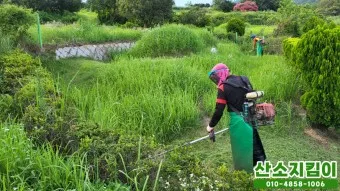 벌초대행 가격 비용 업체 산림조합 농협 서비스_3