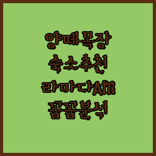 대관령 양떼목장 가기 딱 좋은 숙소는