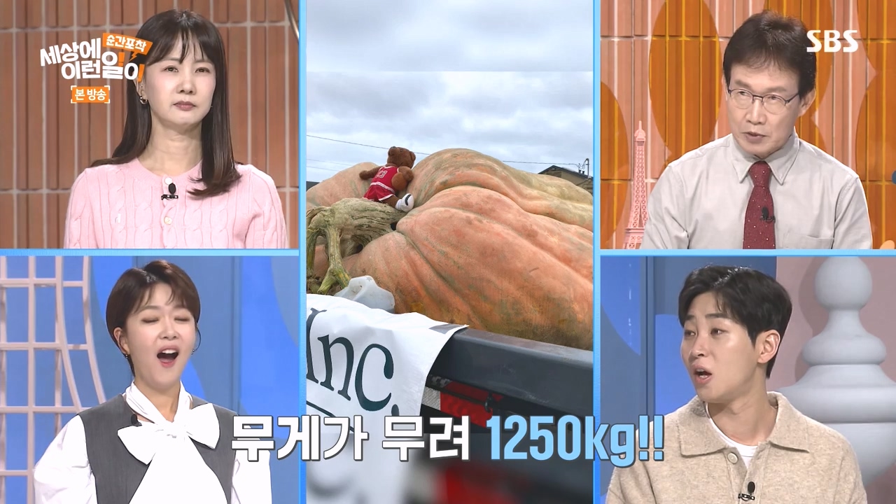 순간포착 세상에 이런일이.E1248.231015p-NEXT.mp4_20231015_161633.229.jpg