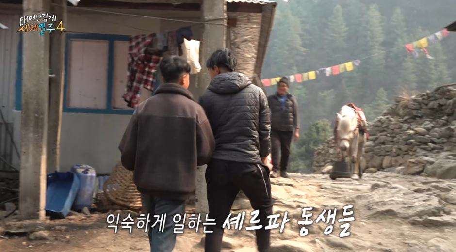 태계일주 미방분 떴는데 시청자들 모두 폭풍 감동 받은 이유.jpg | 인스티즈