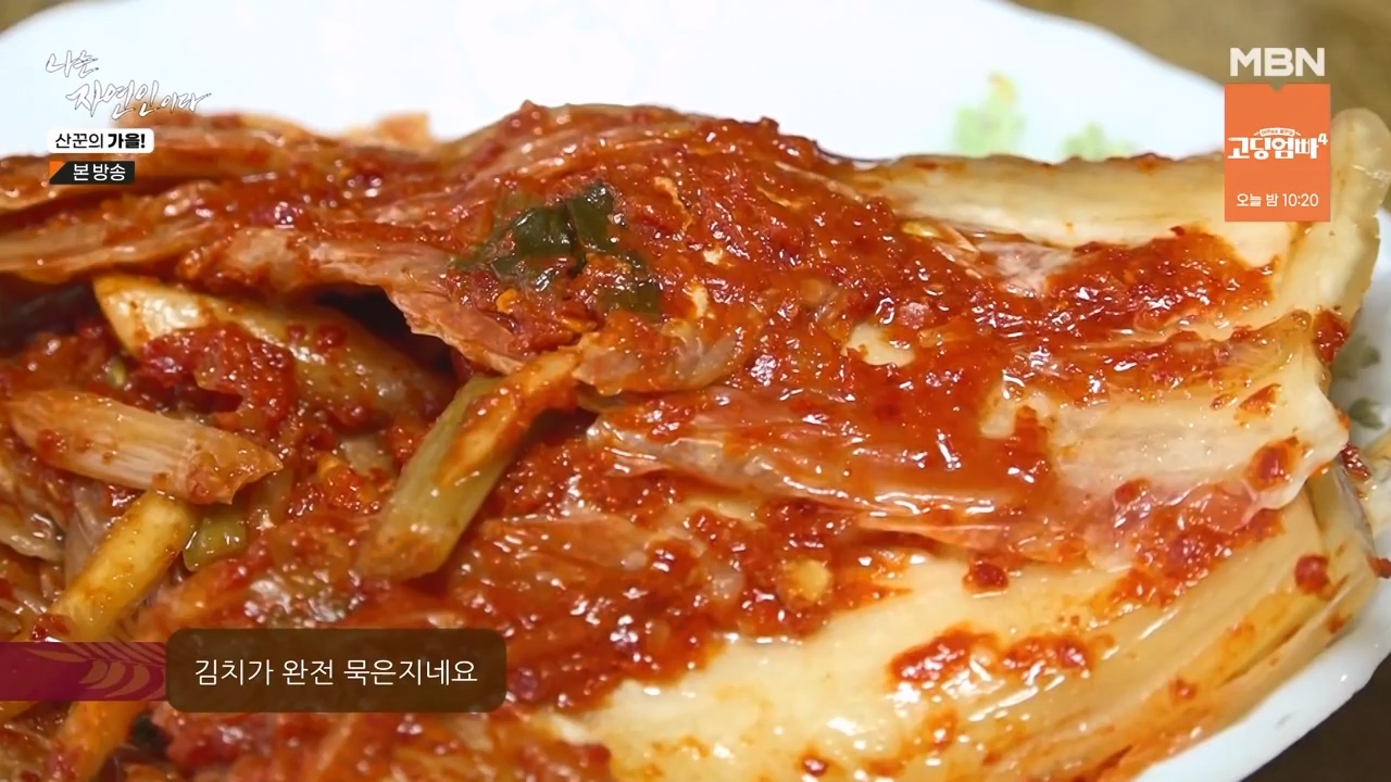 나는 자연인이다.E574.231005p-NEXT.mp4_20231005_200548.285.jpg