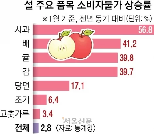출처 통계청. 서울신문