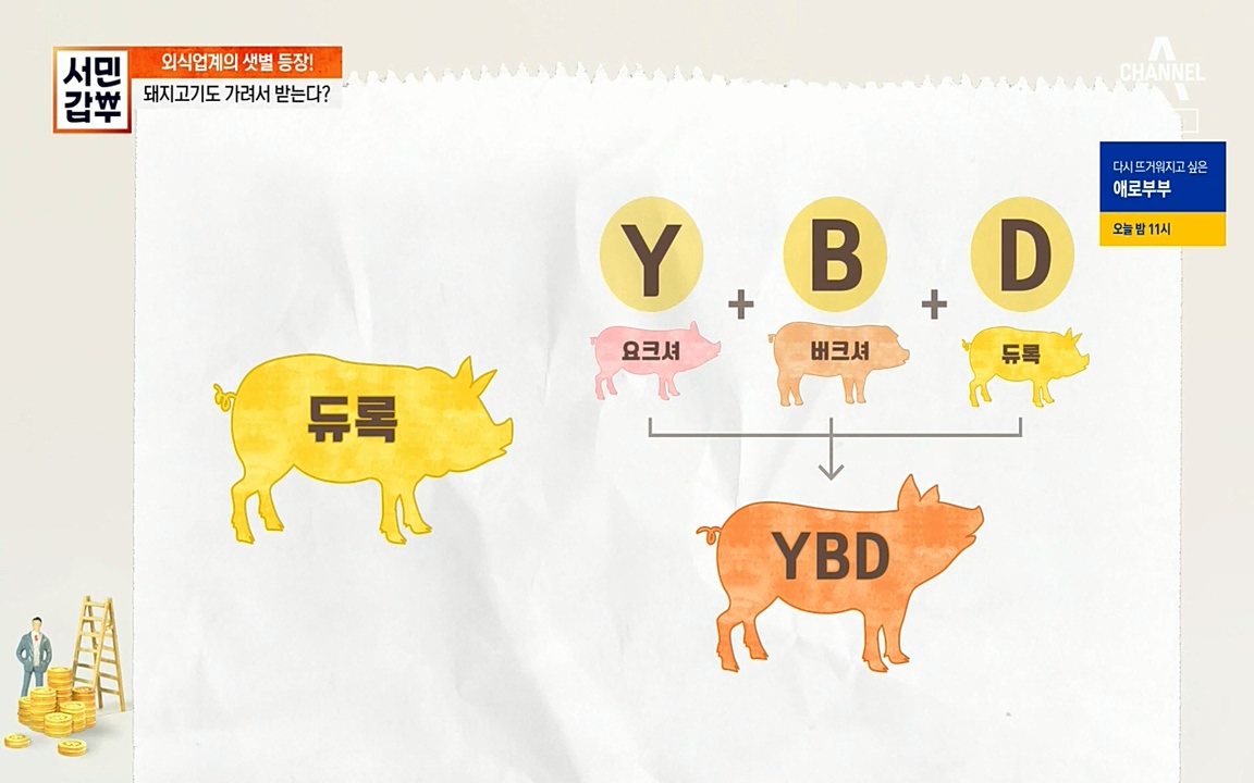 서민 갑부.E376.220327p-NEXT.mp4_20220327_175219.390.jpg