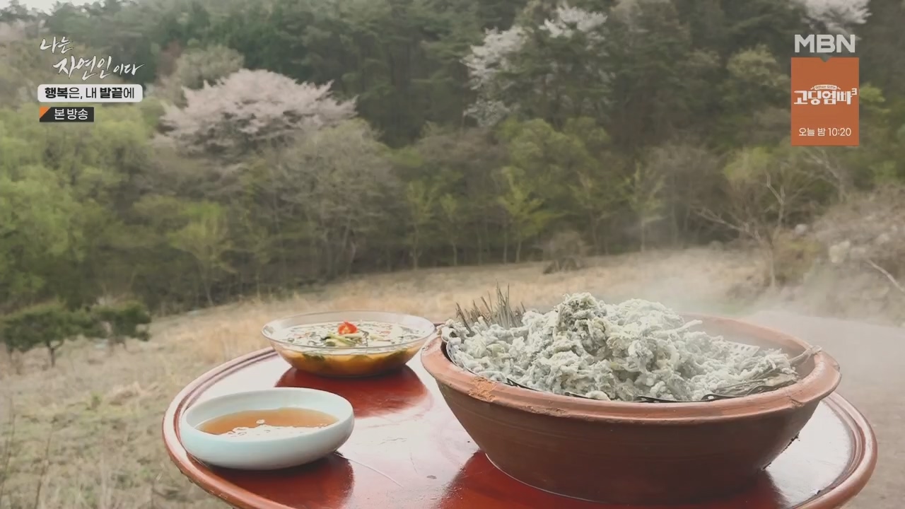 나는 자연인이다.E551.230427p.H264-F1RST.mp4_20230427_200339.352.jpg