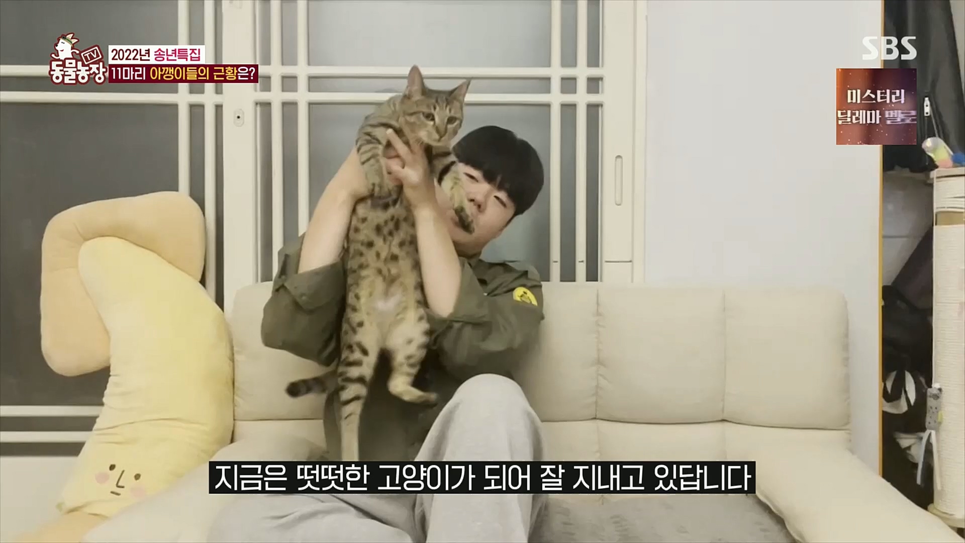 TV 동물농장.E1101.221225p.H264-F1RST.mp4_20221225_190306.272.jpg