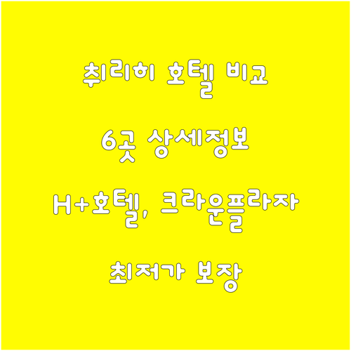 H+호텔, 크라운플라자 등 취리히 호