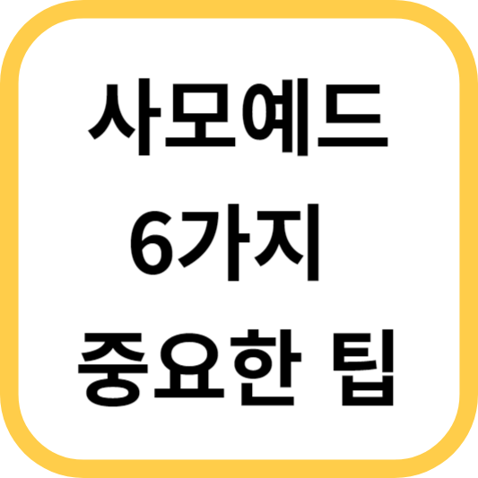  사모예드 키우는 6가지 중요한 팁
