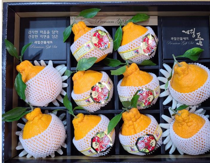  생생정보 이피디 한라봉 파는곳 나주 한라봉