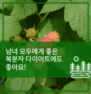 복분자 좋은 다이어트에도 좋아요! 2