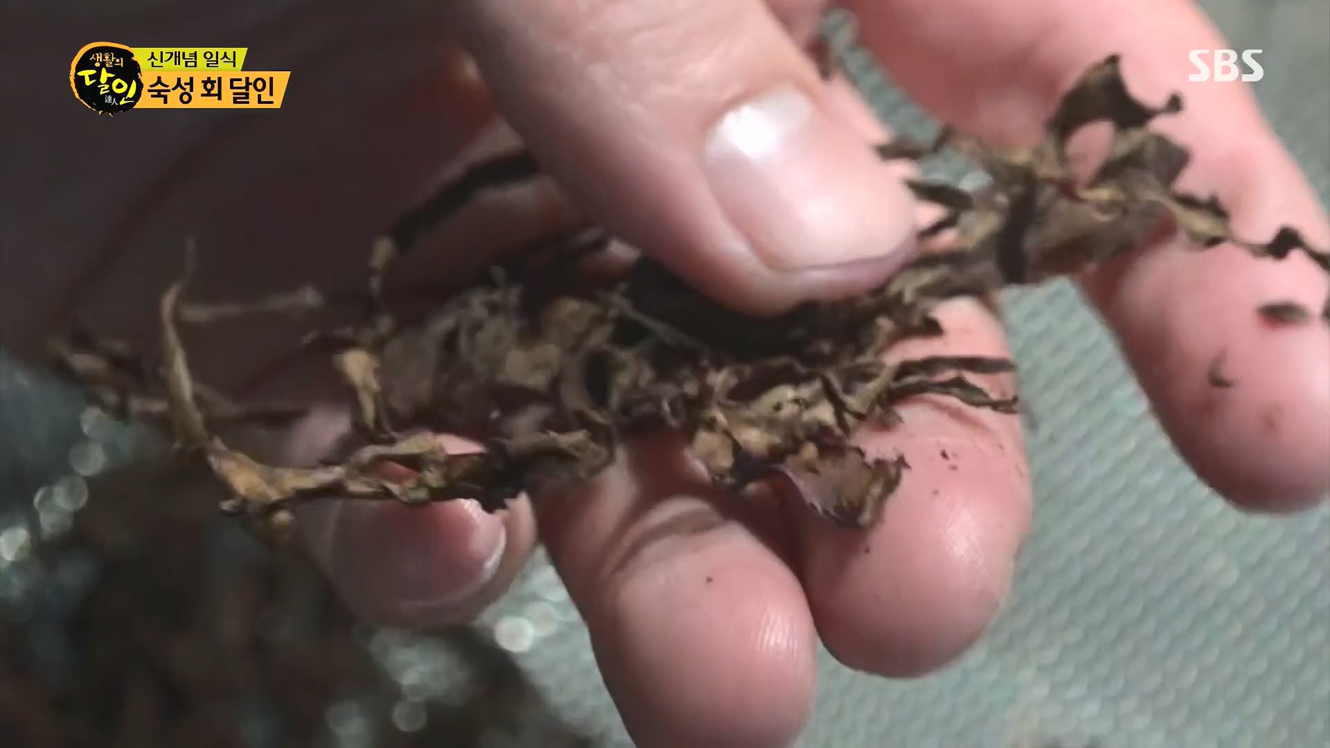 생활의 달인.E939.240610p.H264-F1RST.mp4_20240611_200900.254.jpg