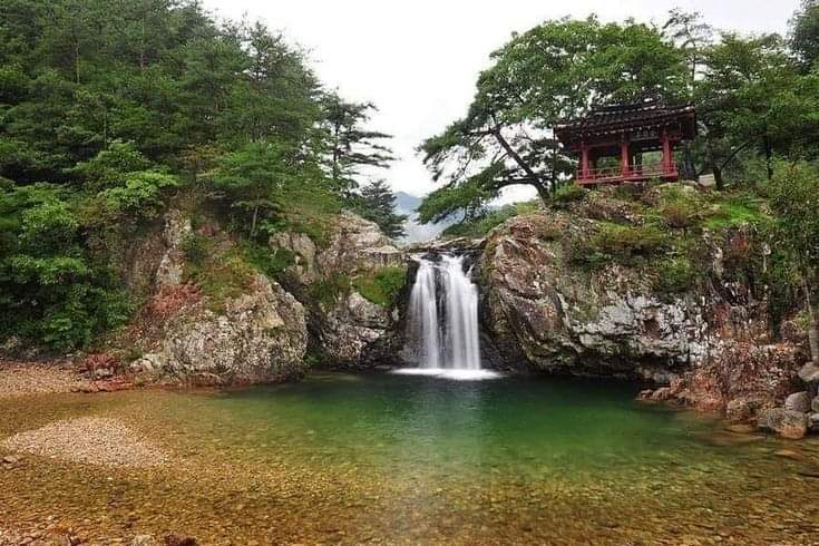 일장춘몽 이미지