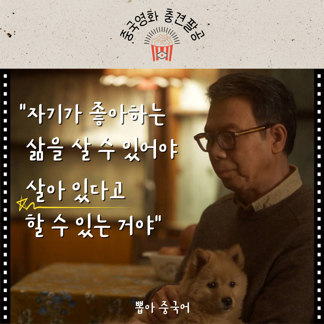 충견팔공