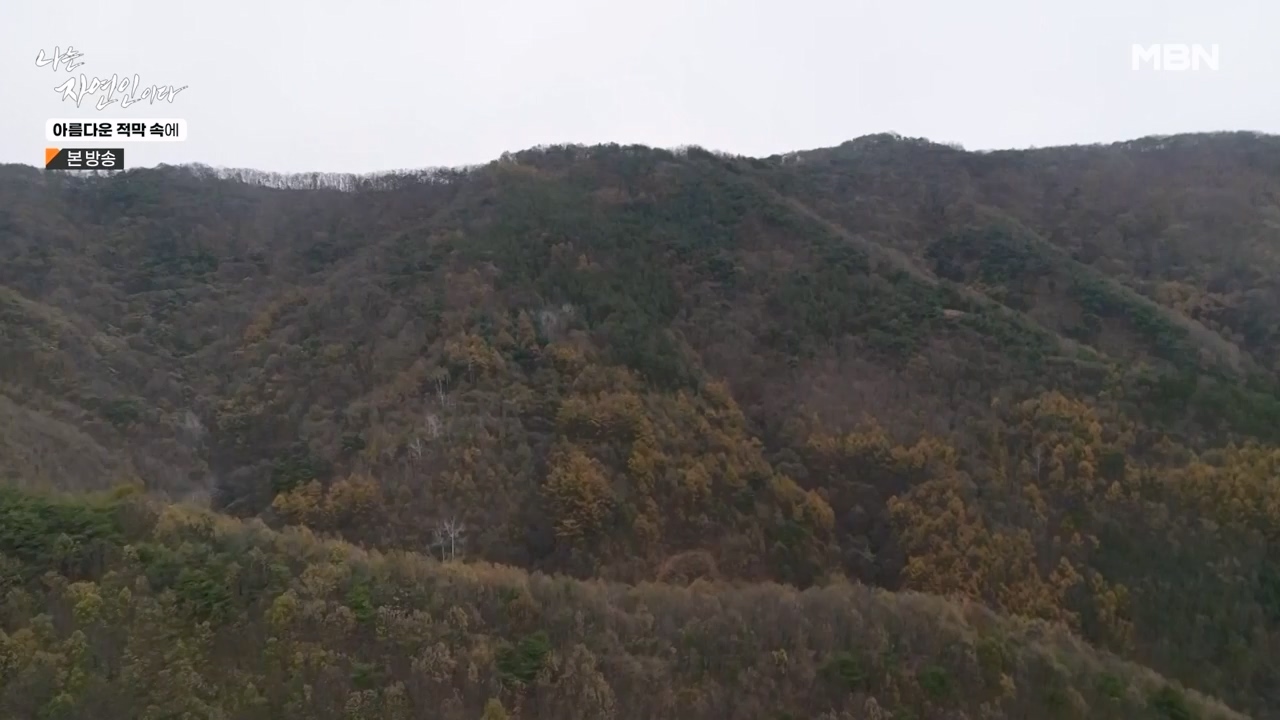 나는 자연인이다.E583.231207p-NEXT.mp4_20231207_195344.717.jpg