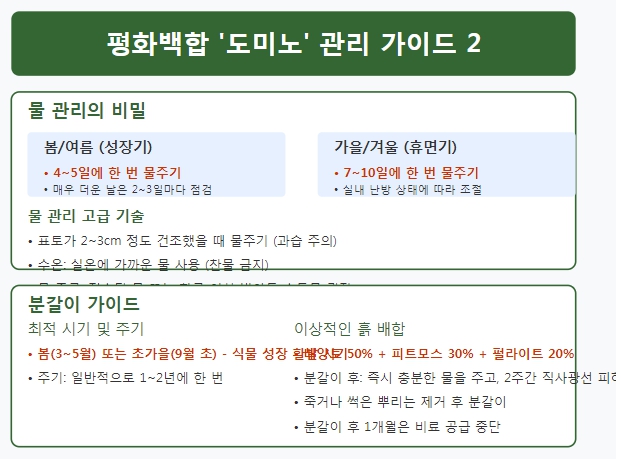 가이드2