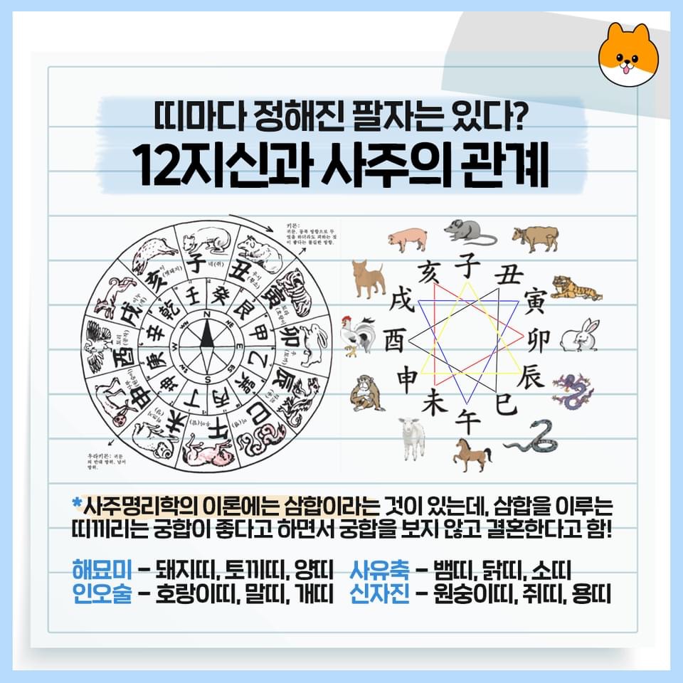 [사주풀이] 띠마다 팔자는 정해져 있다?   12지신과 사주의 관계