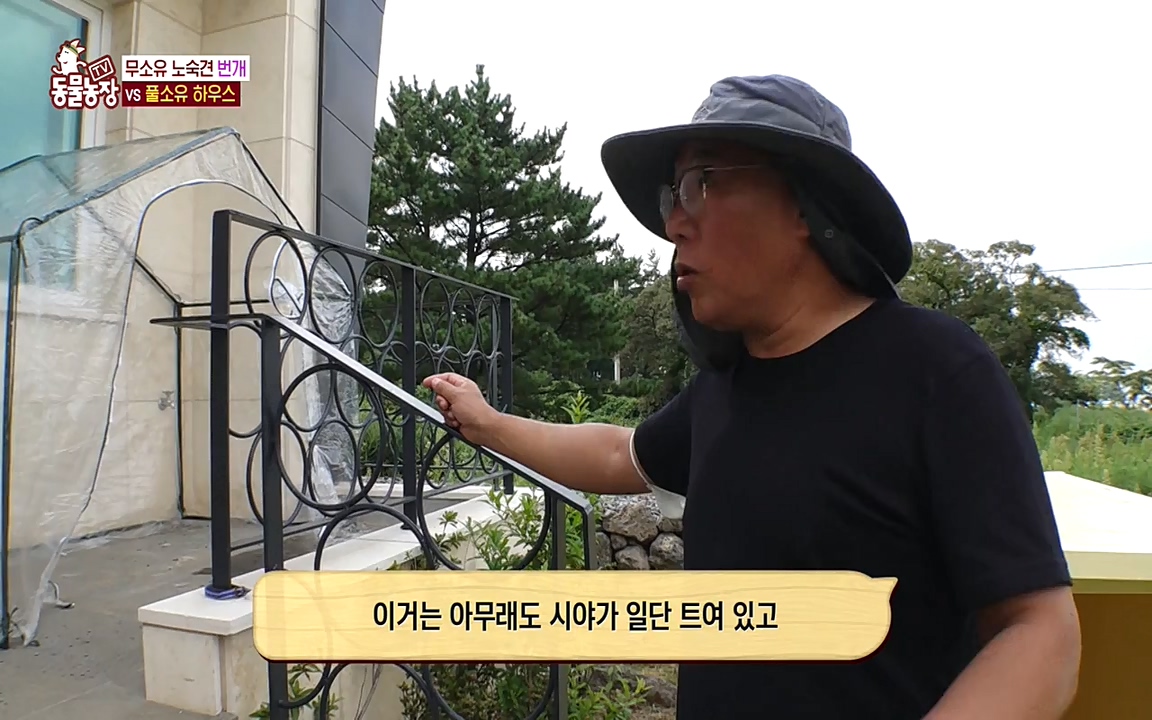 TV 동물농장.E1087.220919p-NEXT.mp4_20220918_180227.303.jpg