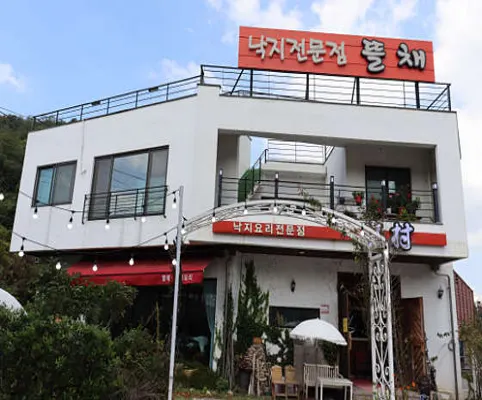 뜰채